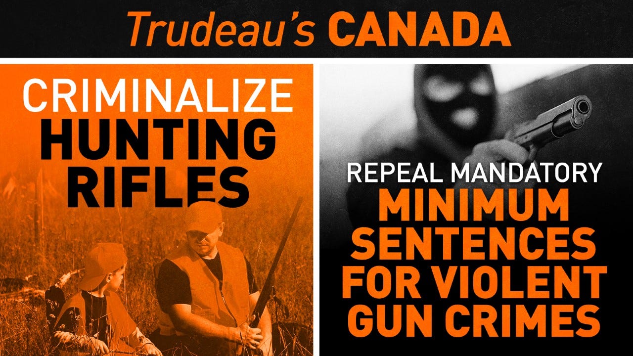 Image preview Image preview