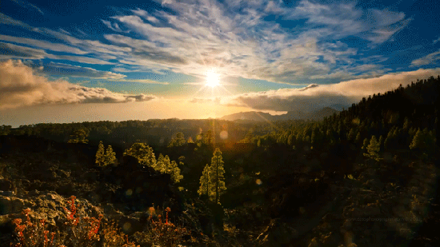 25 Stunning Timelapse GIFs | Amenagement jardin, Paysage, Les plus beaux  paysages