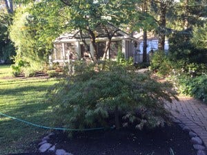 img_8486