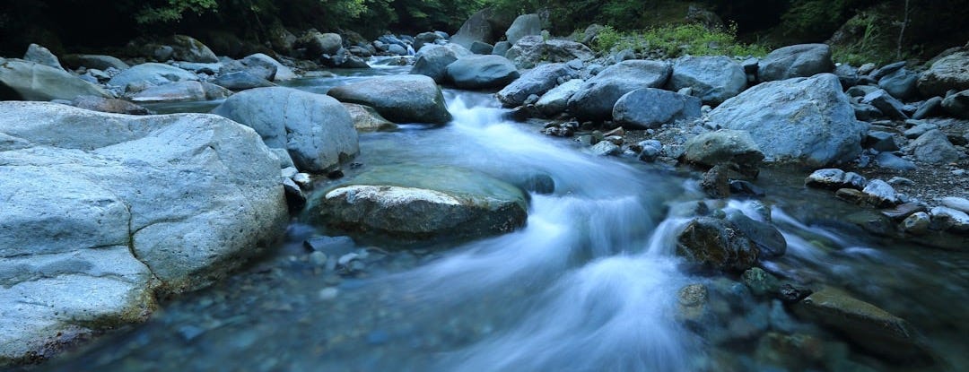 body river surrounded by dress