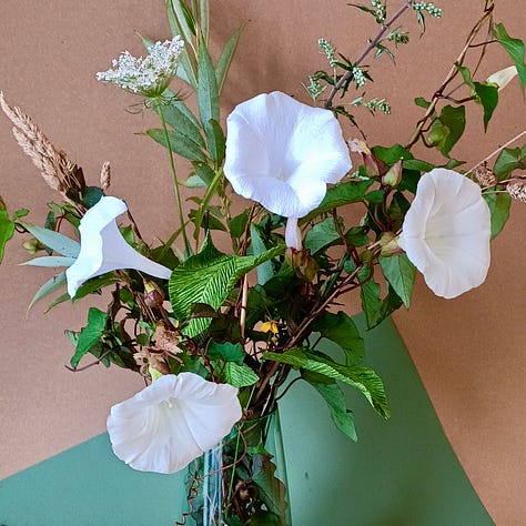 Bindweed trumpets in the morning sun with a visiting butterfly; paper bindweed photographed with real horsetail and ferns; an arrangement of bindweed, both real and paper, with an array of grasses and leaves collected from the hedgerows.