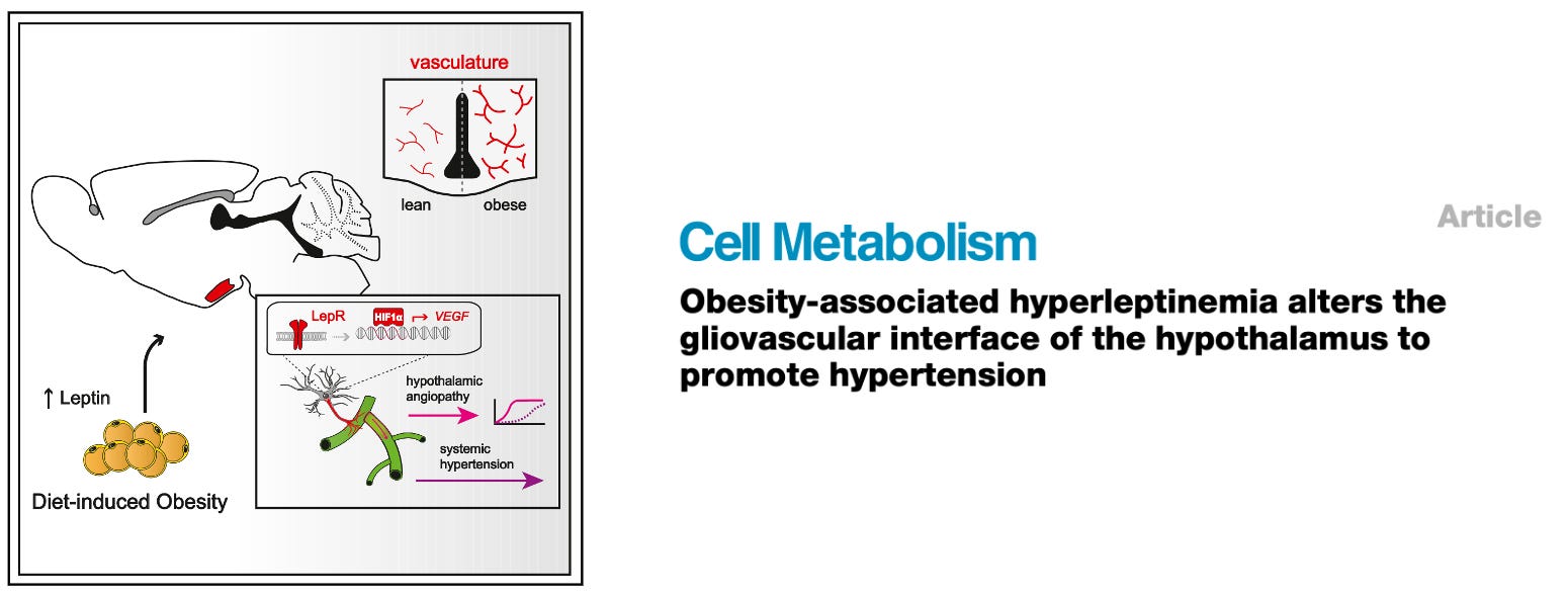 Weight Loss Truths: Ozempic, GLP-1s \u0026 Obesity w/ Dr. Nadolsky, image size:1550x590