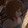 charies's avatar