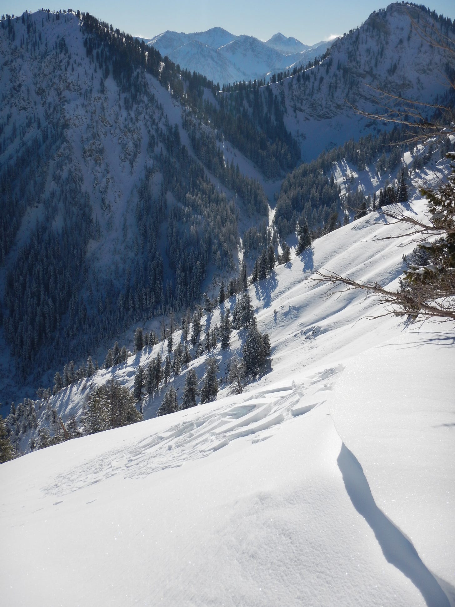 DSCN2904.JPG
