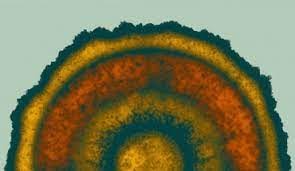 Biology News | Sci-News.com