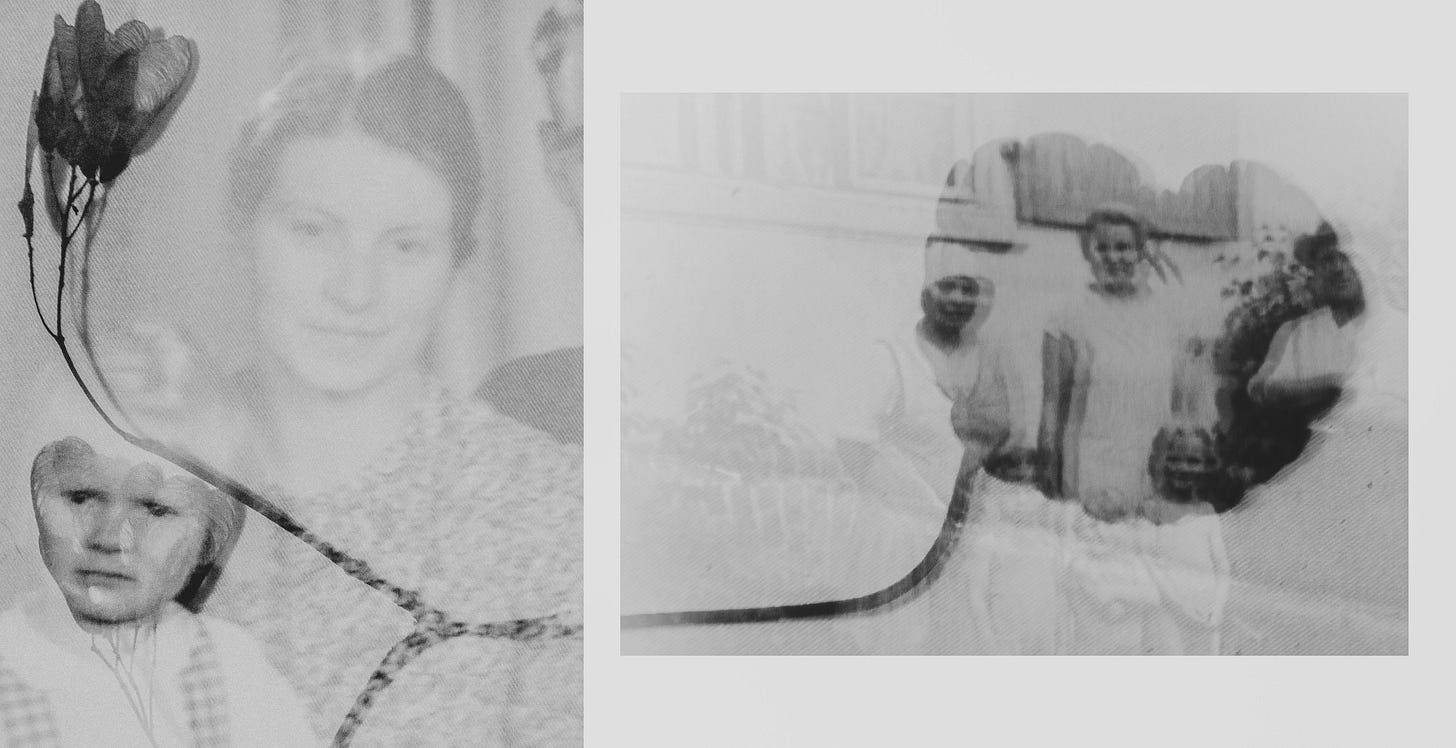 Left image shows a young mother with her child superimposed with a dead plant, right image shows a group of people standing in front of a house and their faces are superimposed with a dead leaf
