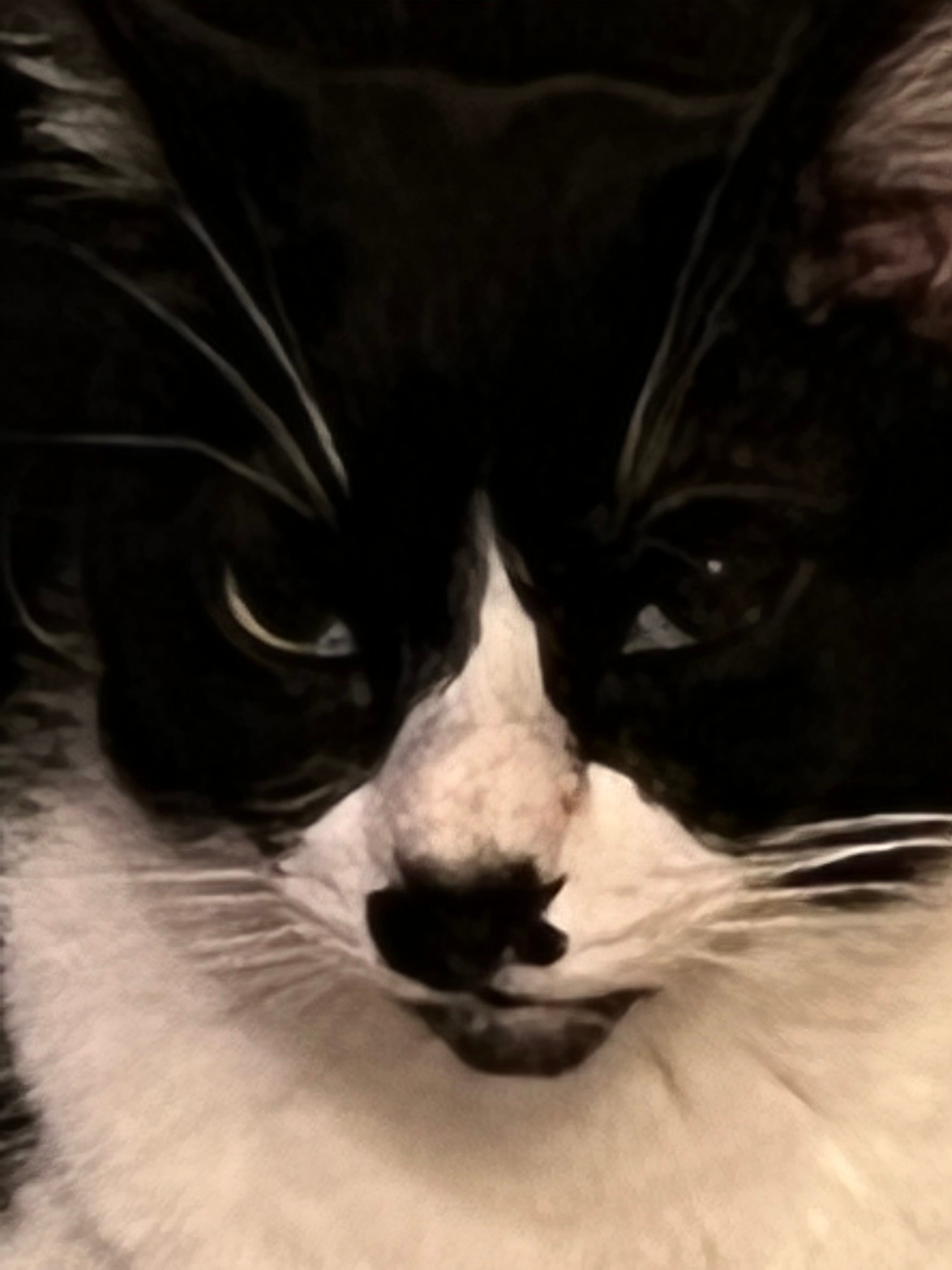 Artwork for psychesemantic’s Substack