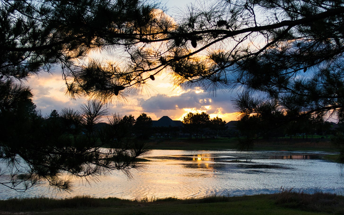 Clouds at sunset reflecting in the lake water with pine tree branches across the top of the scene