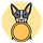 Paws and Reflect