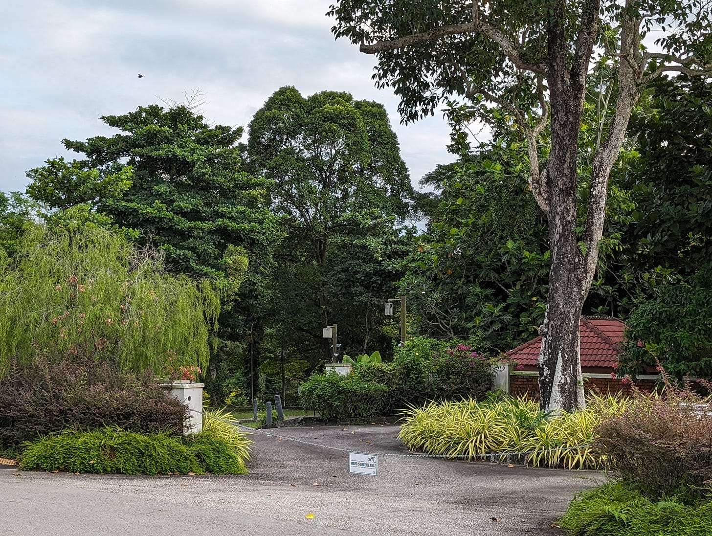 Dempsey Hill