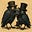 Raven's avatar