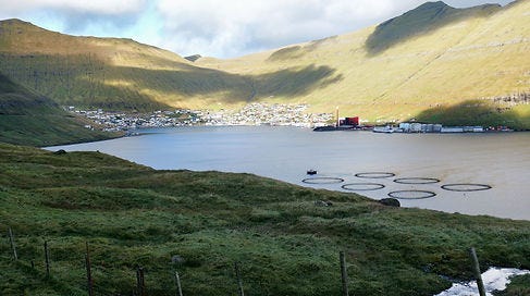 Fuglafjörður í Færeyjum. Fuglafjörður í Færeyjum.