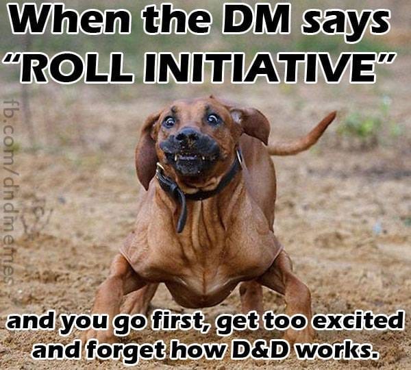 28 of the best DnD Memes