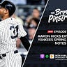 Bronx Pinstripes