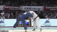 white throw power martial arts judo ippon ijf grappling fight blue black belt Kodokan AfraidKnobbyEidolonhelvum eju,AfraidKnobbyEidolonhelvum GIF