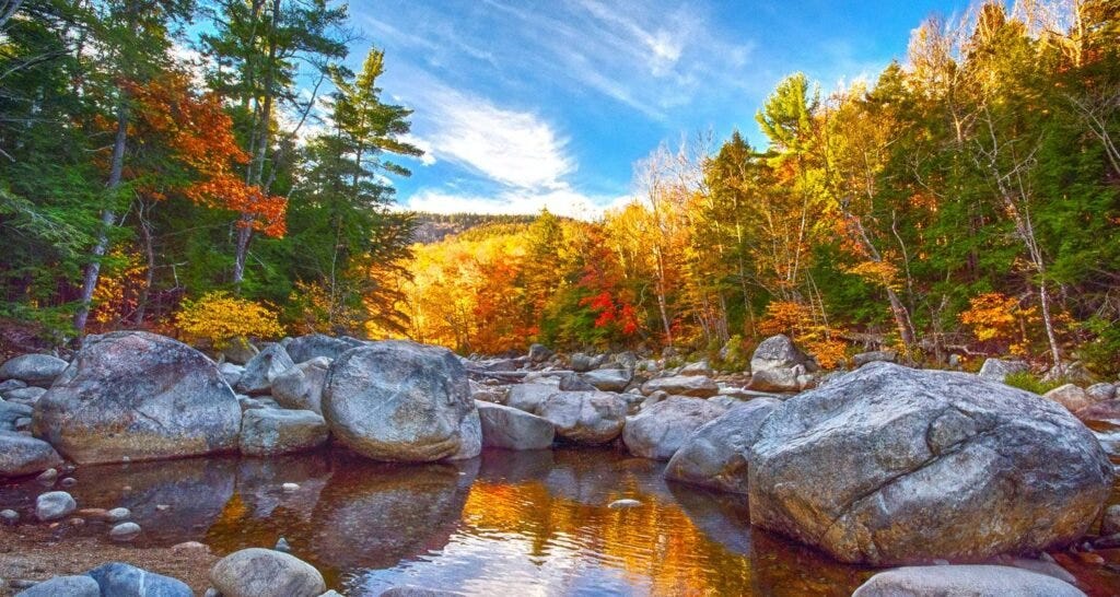 New England New England
