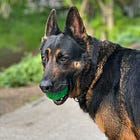 Thank You. Seriously.