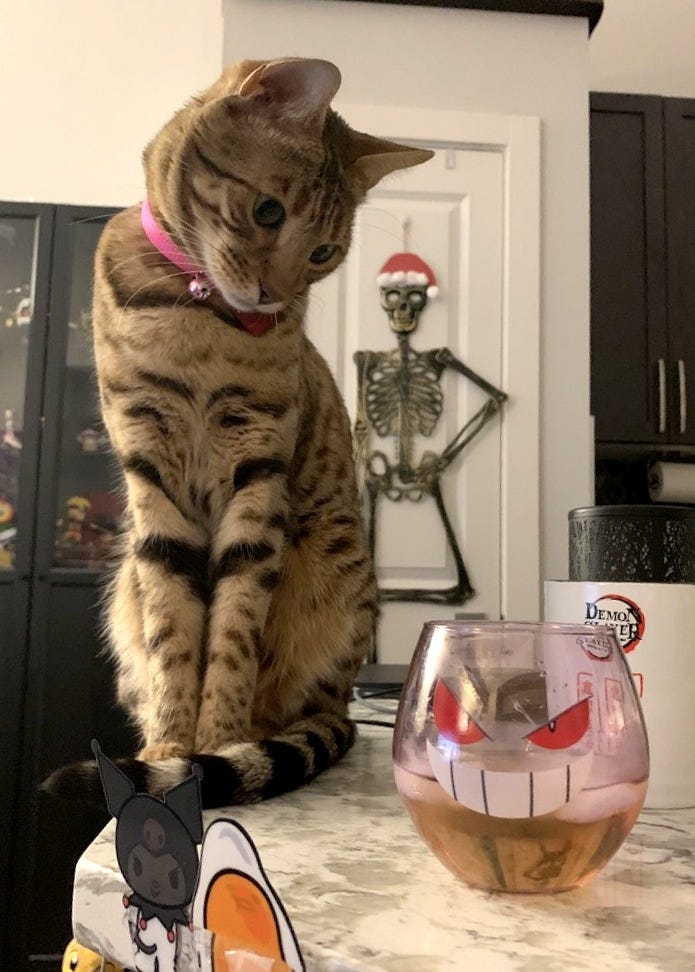 Nezuko is on the counter looking warily at a Halloween cocktail Nezuko is on the counter looking warily at a Halloween cocktail