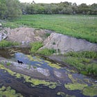 Years of hard work help restore Lake Hiddenwood Recreation Area