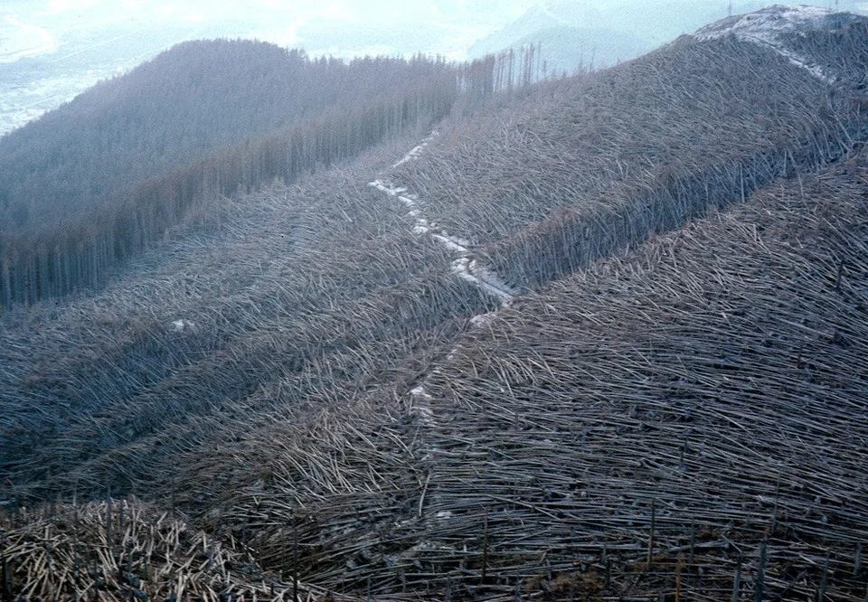 Sudden Environmental Changes Examples An Example of Sudden Climate Change