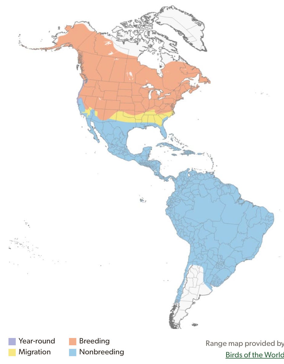 Screenshot 2026-03-29 at 3.20.10 PM.png Screenshot 2026-03-29 at 3.20.10 PM.png