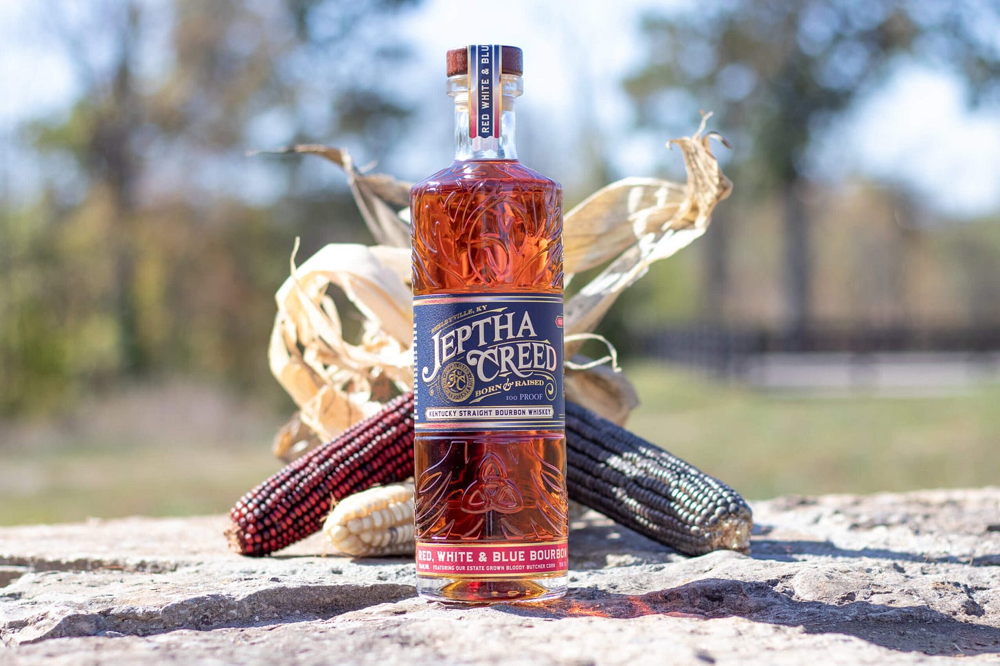 RWB Lifestyle Edit 005