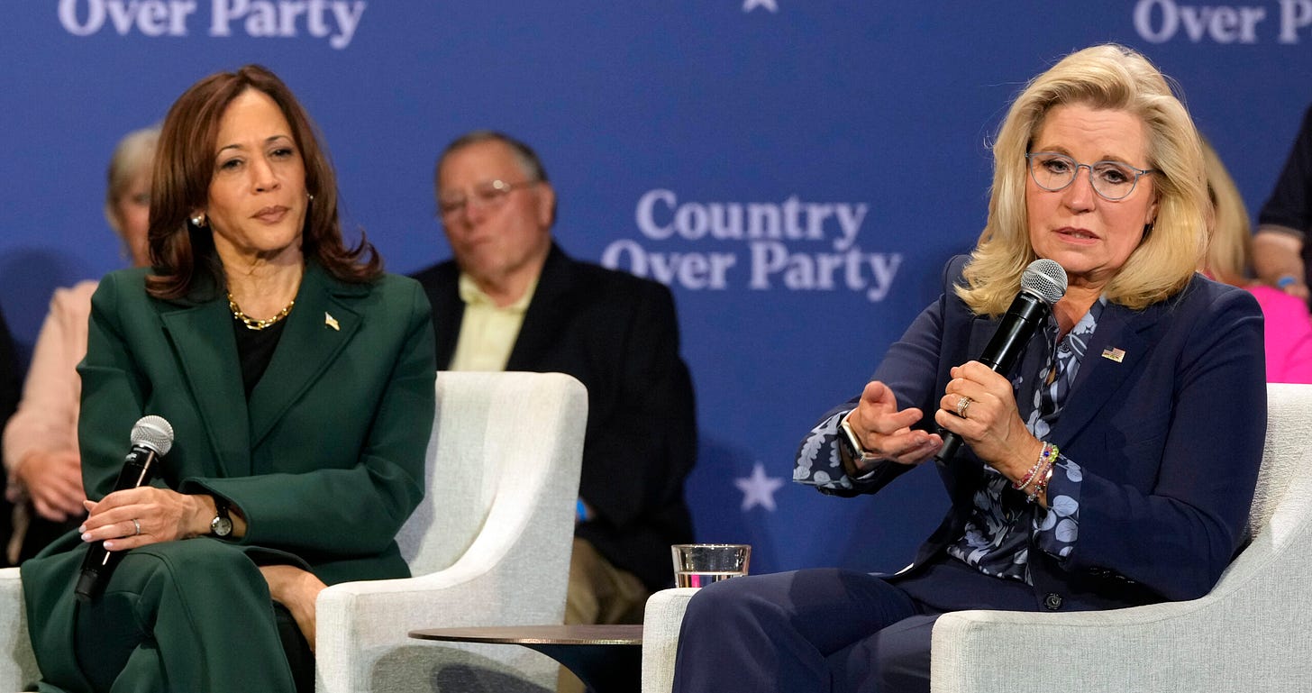 Harris, Cheney reach out to Wisconsin suburbanites in 'Country Over Party'  event - WPR