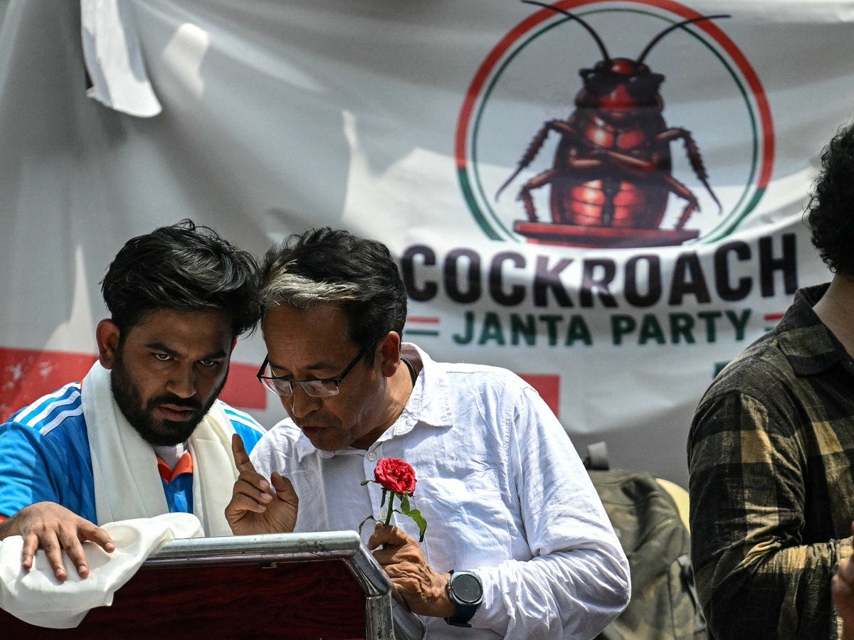 India's viral 'cockroach' party says it will stage nationwide protests  until minister resigns | The Independent