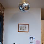 Birch Bark (on display at Camp Kingston)