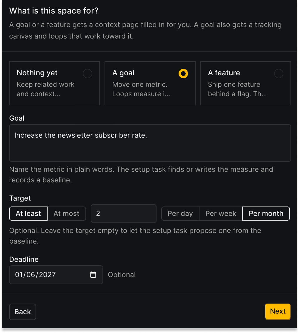 The PostHog Desktop "What is this space for?" setup form. "A goal" is selected over "Nothing yet" and "A feature." The goal field reads "Increase the newsletter subscriber rate," with a target of at least 2 per month and a deadline of 01/06/2027.