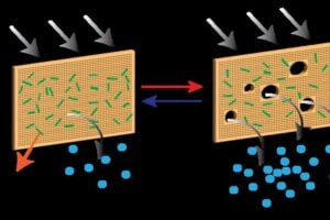 smart membrane function