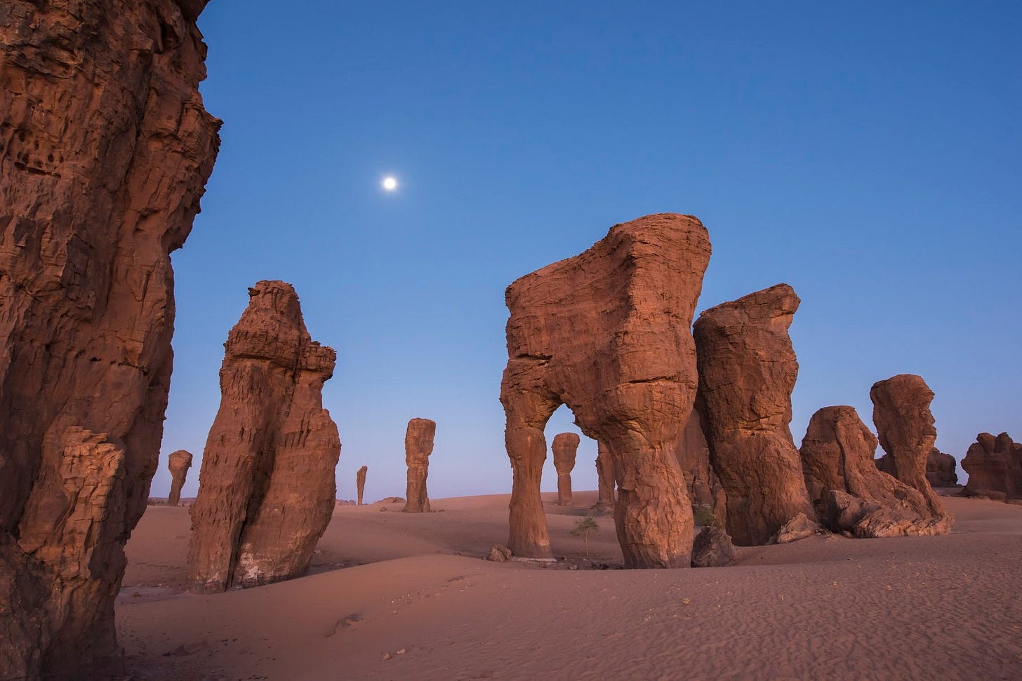 No photo description available.