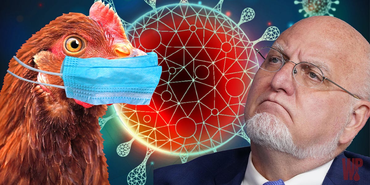 thewinepress.substack.com