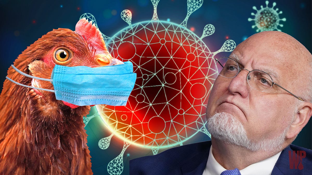 thewinepress.substack.com