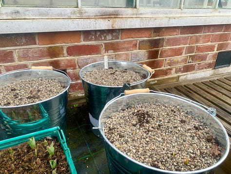 plant pots and soil