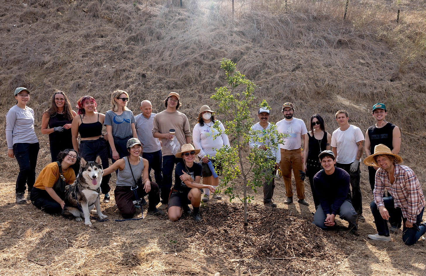 A group of people and a Husky smiling next to a young tree.