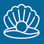 Oyster Education's avatar