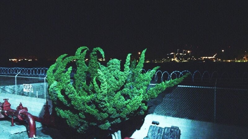 Cyprien Gaillard | Nightlife, (film still) 2015 (2015) | Artsy