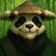 Panda's notes