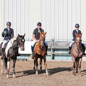 Talented combinations in action at Connell Hill