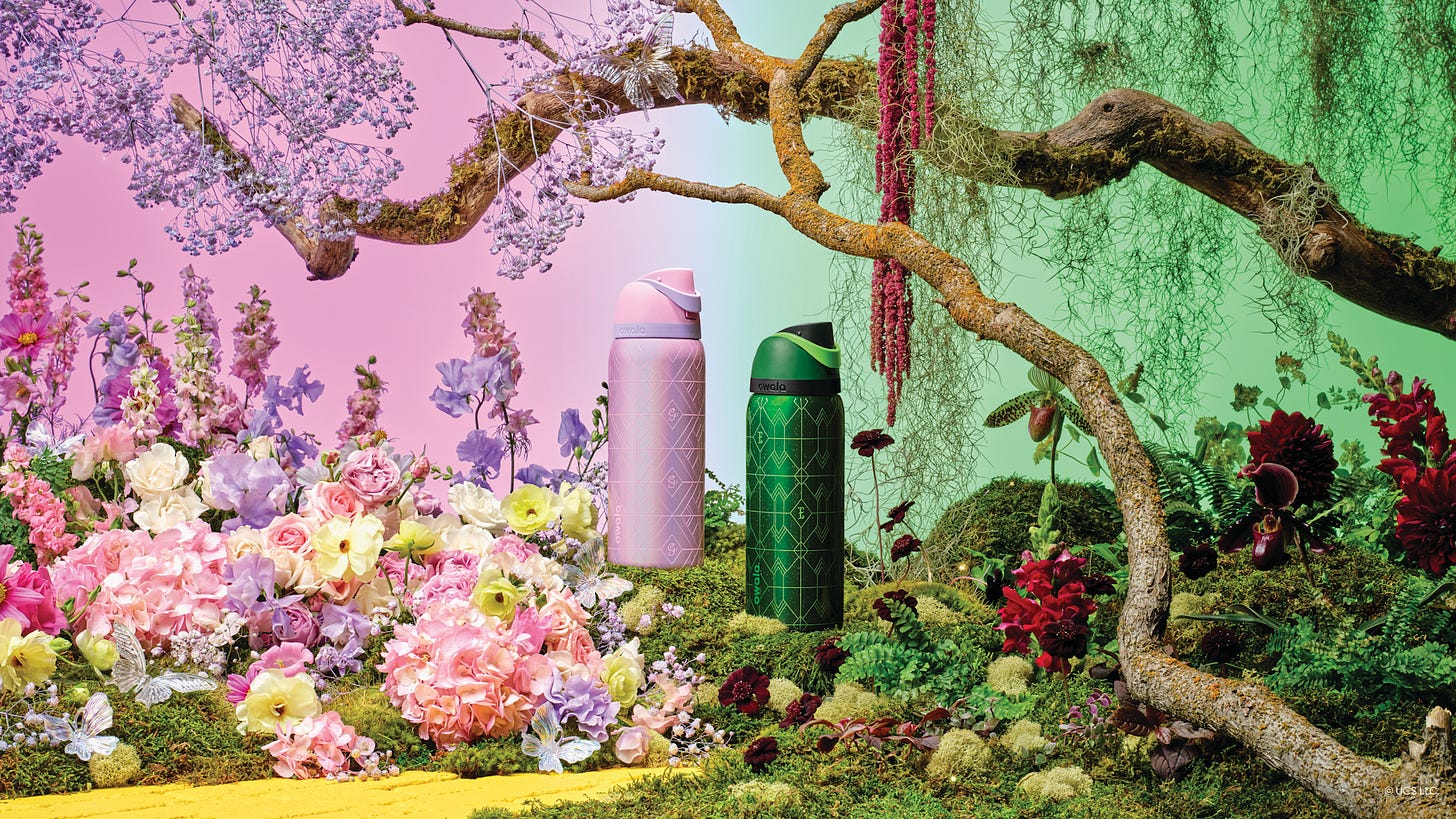 Owala launches Wicked Special Edition bottles