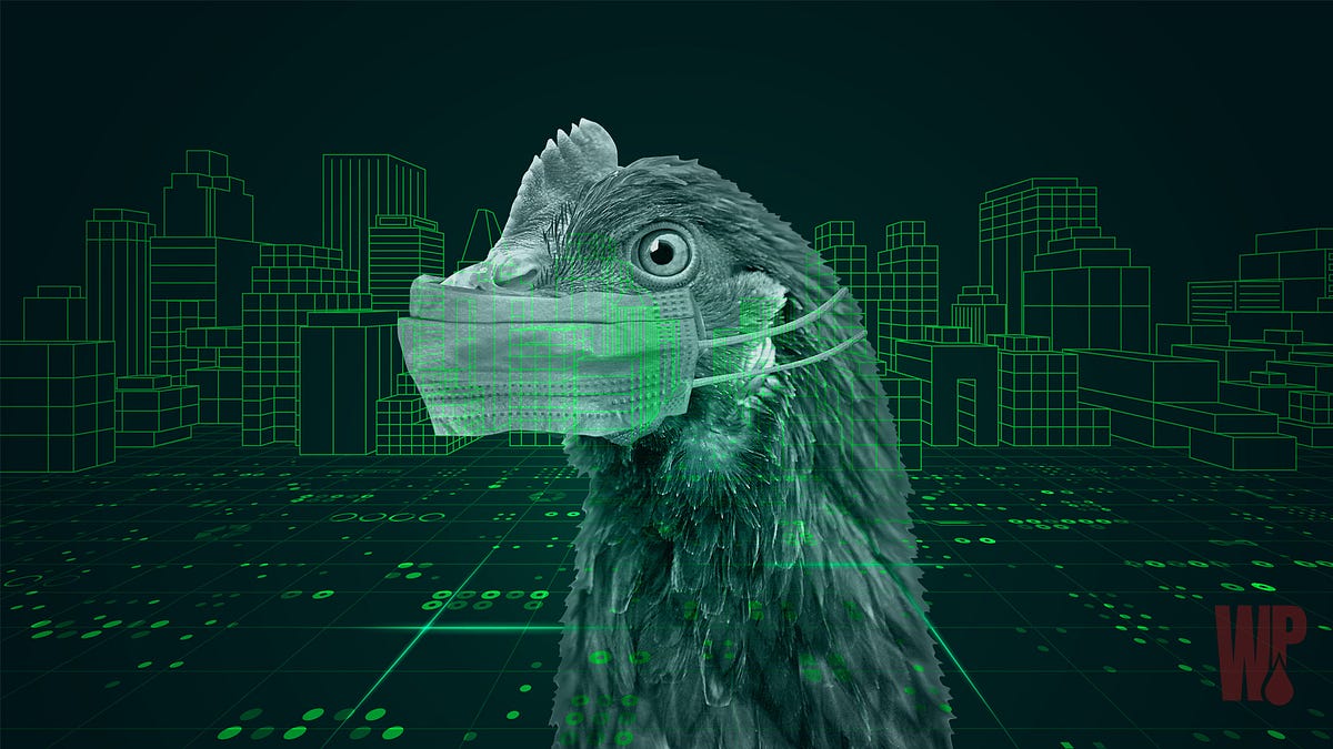 thewinepress.substack.com