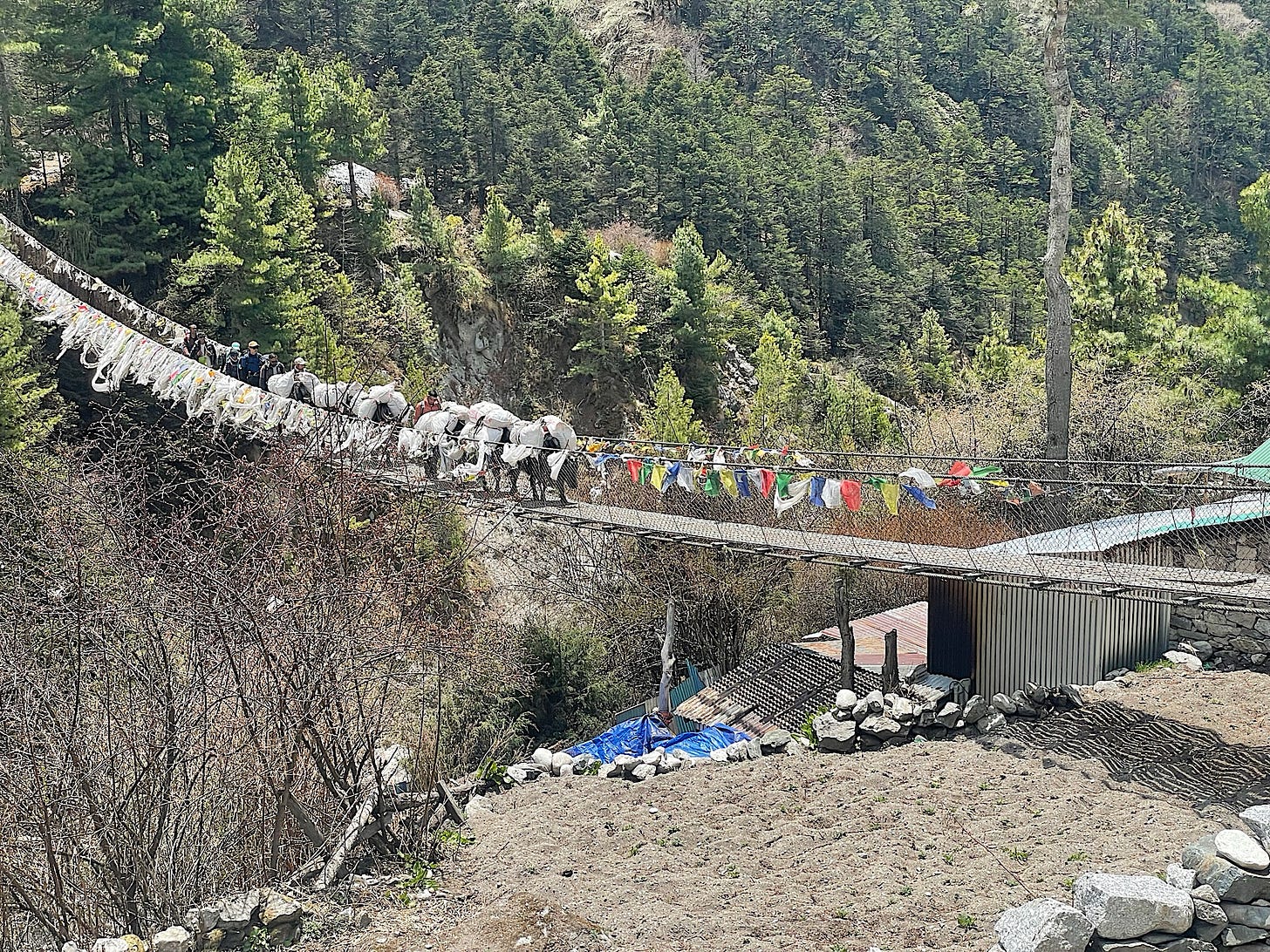 The start of the trail after lunch.