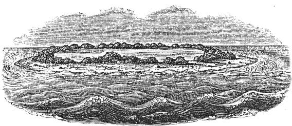Charles Darwin - The structure and distribution of coral reefs Charles Darwin - The structure and distribution of coral reefs