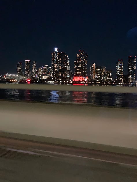 NYC skyscrapers from the Empire State Building; blurry PepsiCola sign at night from FDR Drive; Statue of Liberty from a great distance