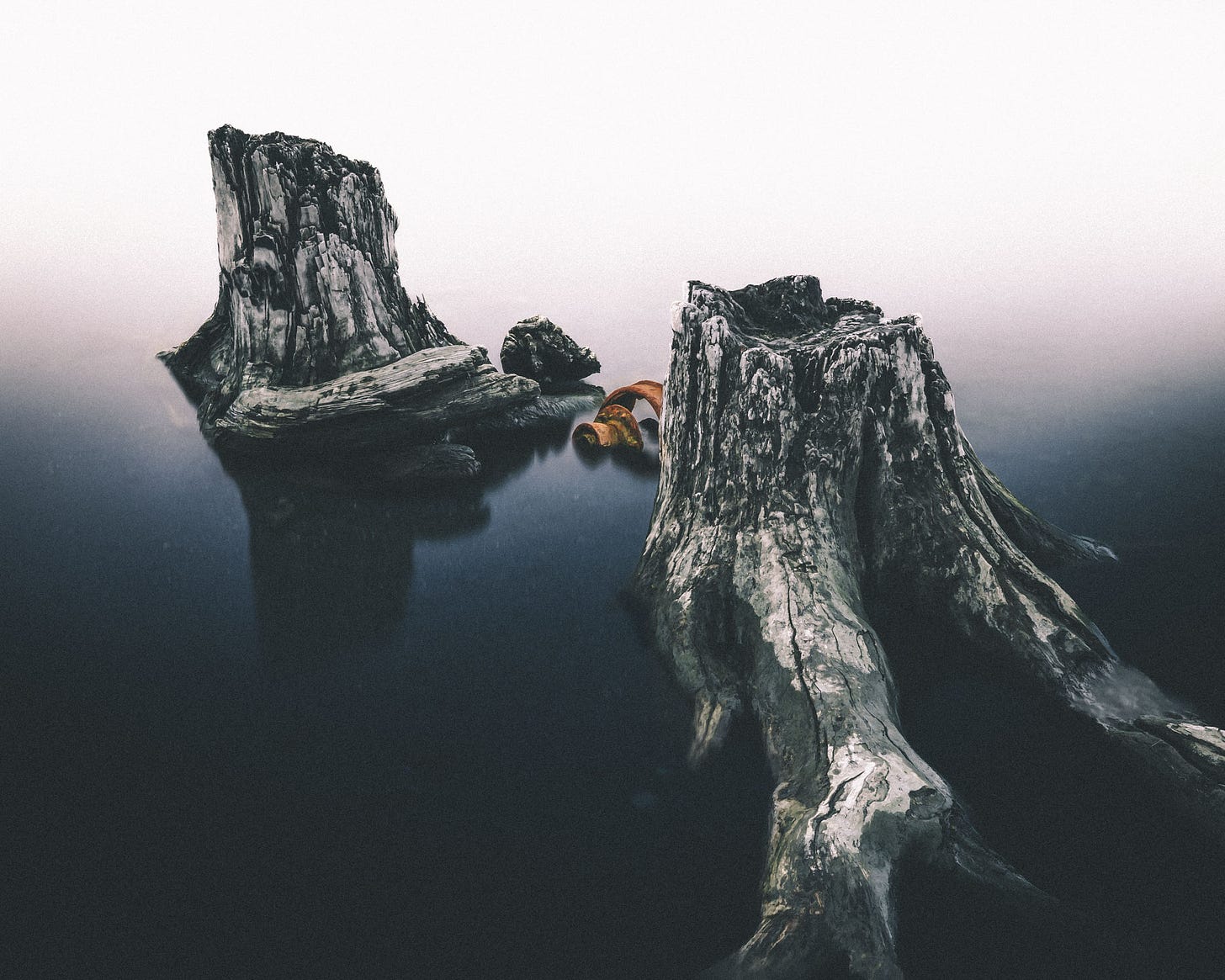 Two dead stumps and a rusting chunk of metal reveal themselves as the tide goes out at Afognak Beach.