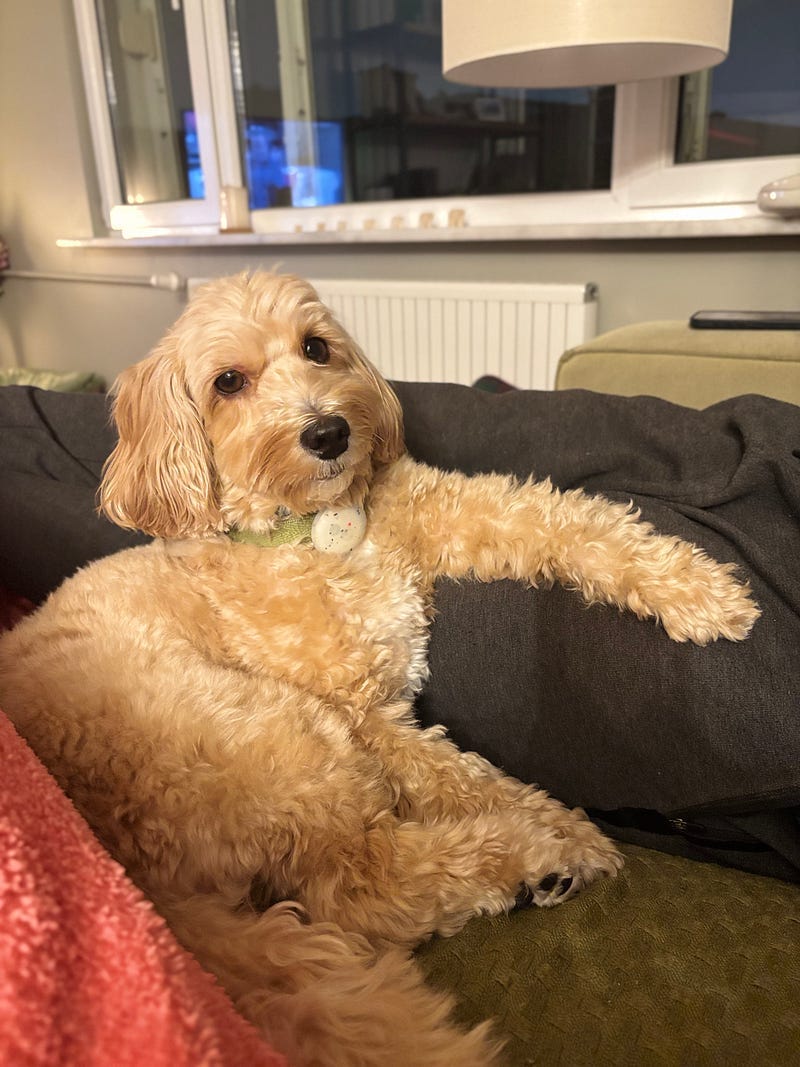 Our Chief Productivity Officer Topik