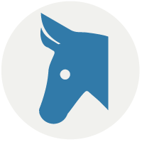 democratic donkey democratic donkey