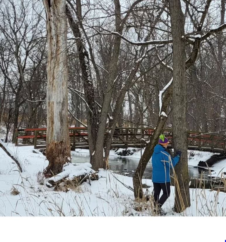 woman in a blue jacket leaning face-forward next to a tree in the snowy woods
